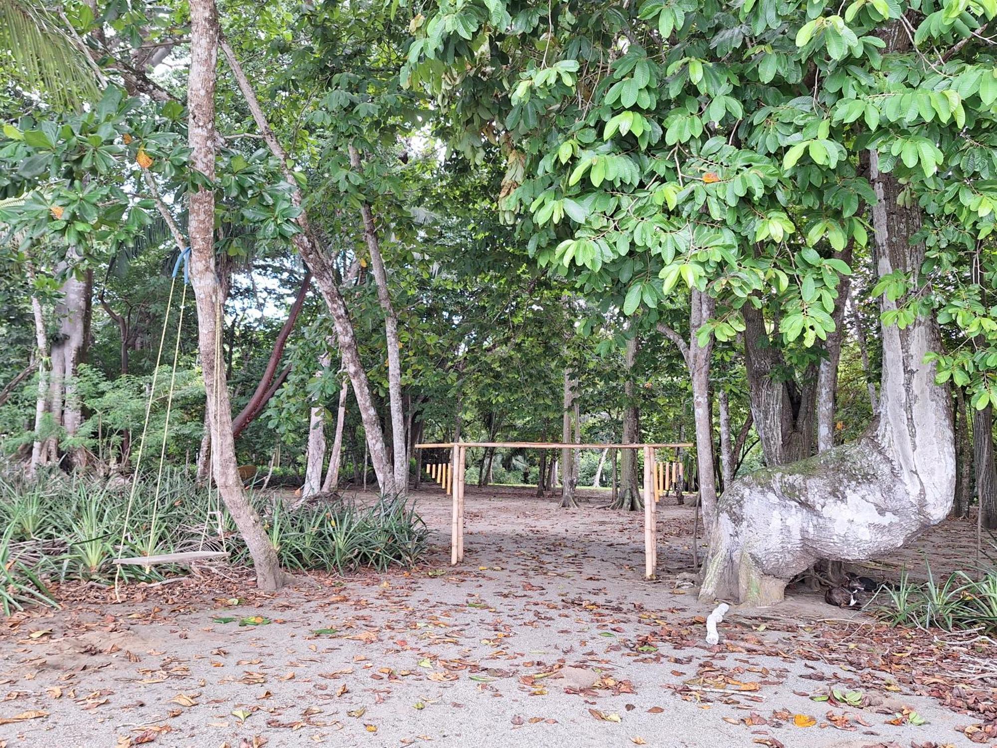 Four Monkeys Eco Lodge - Jungle & Beach Cabo Matapalo Exterior foto