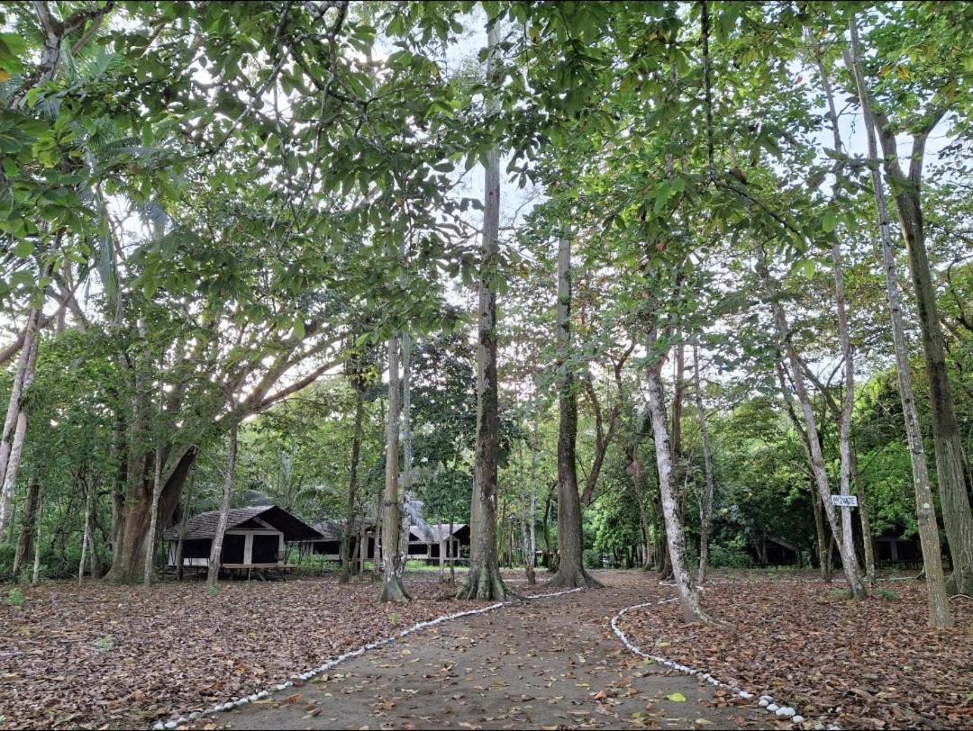 Four Monkeys Eco Lodge - Jungle & Beach Cabo Matapalo Exterior foto
